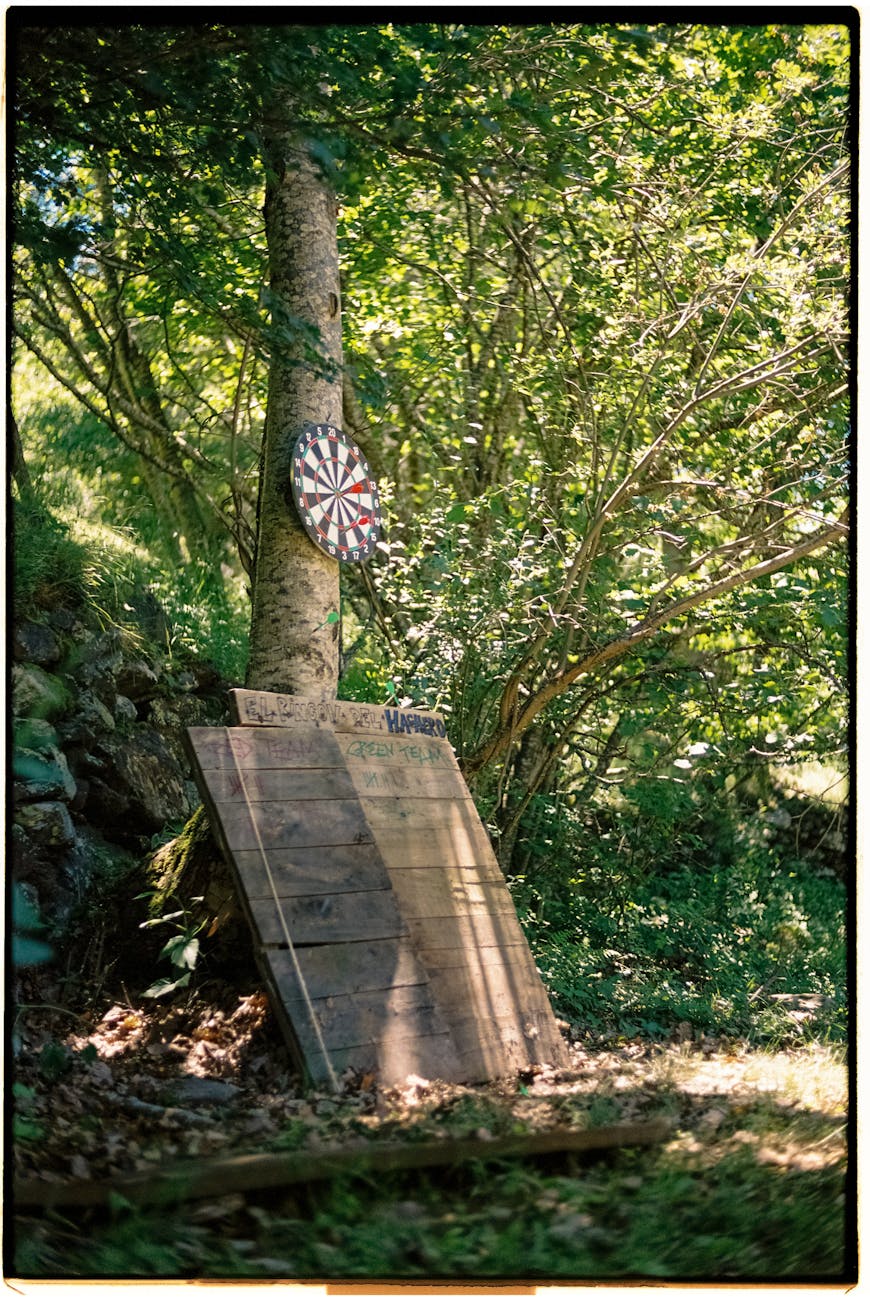 dart board and a platforms by the tree