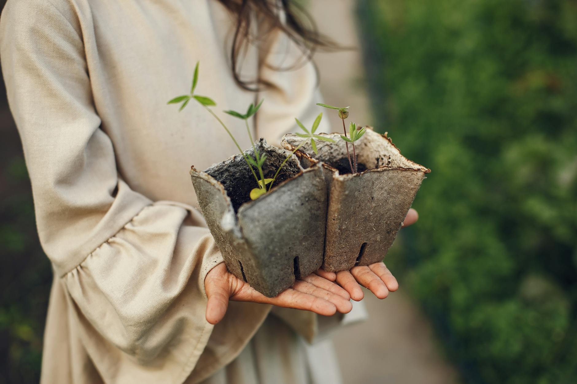 a person holding potted plants