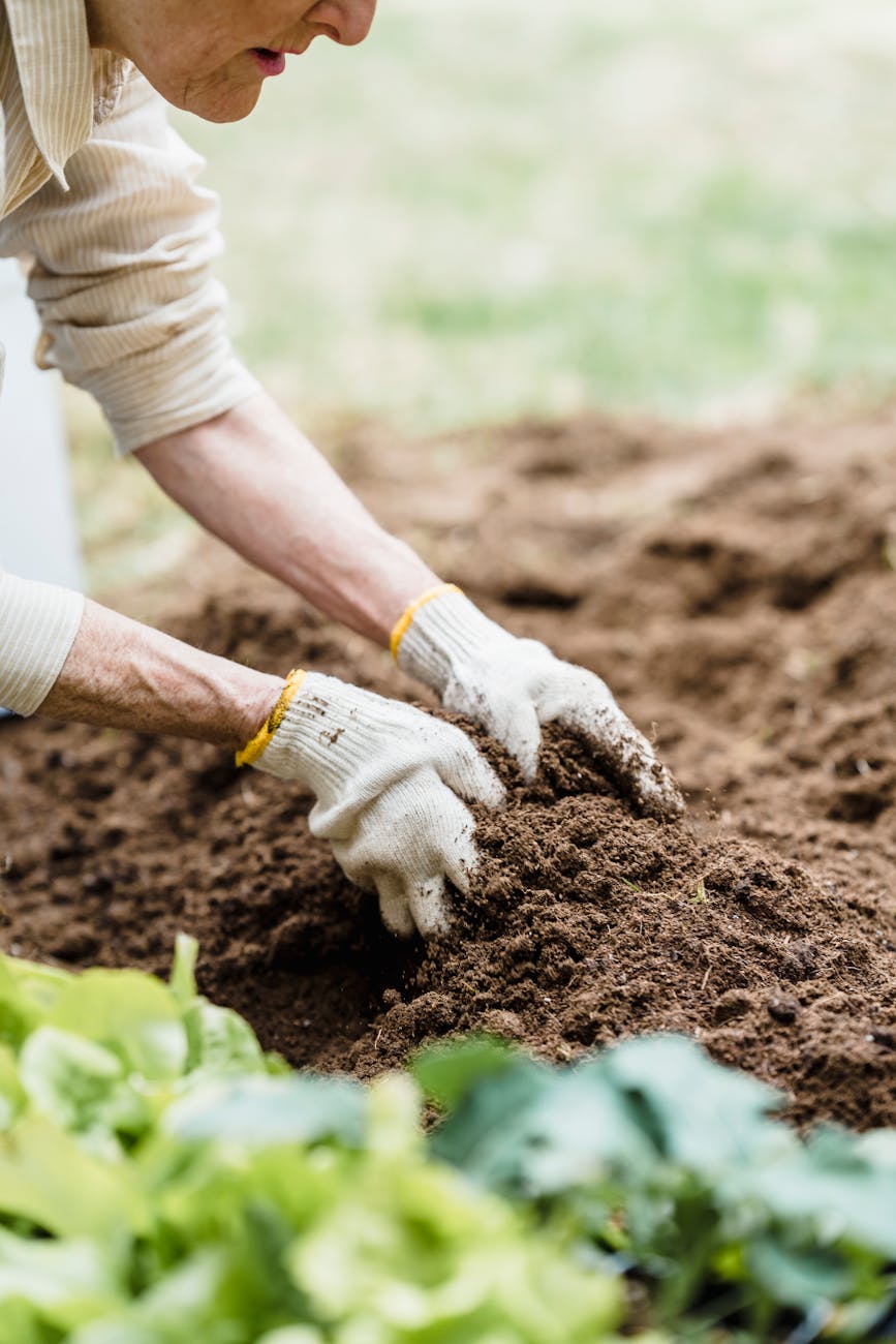 close up of an elderly person gardening